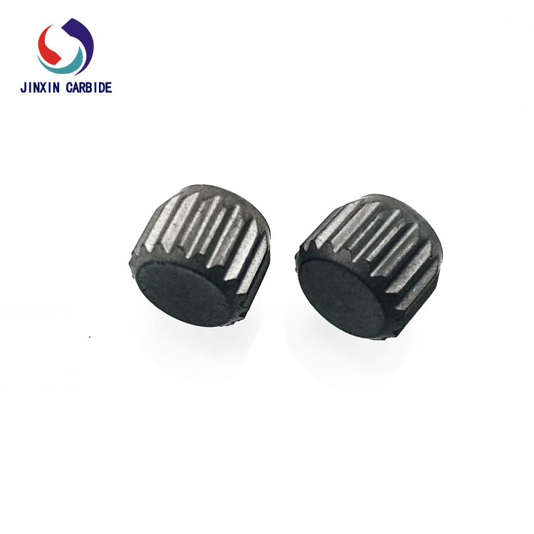 wear inserts (18)