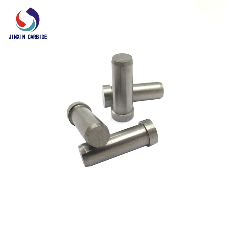 Carbide Plunger (8)